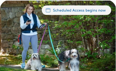 Person walking two dogs with scheduled access notification